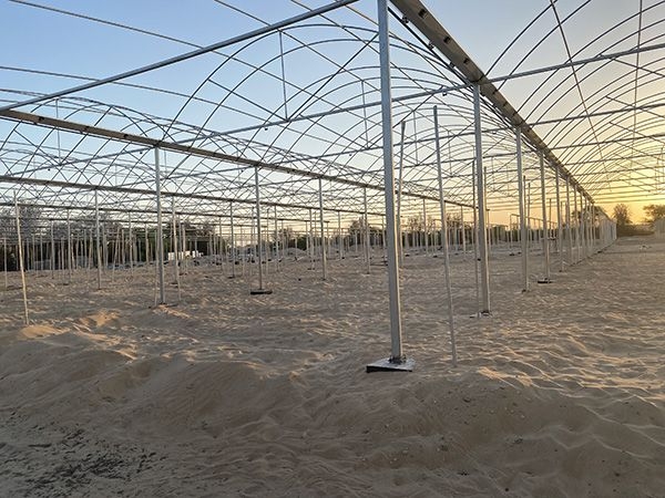 沙特阿拉伯連棟陽光板溫室51200平方